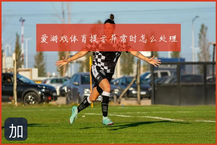 爱游戏体育提示异常时怎么处理